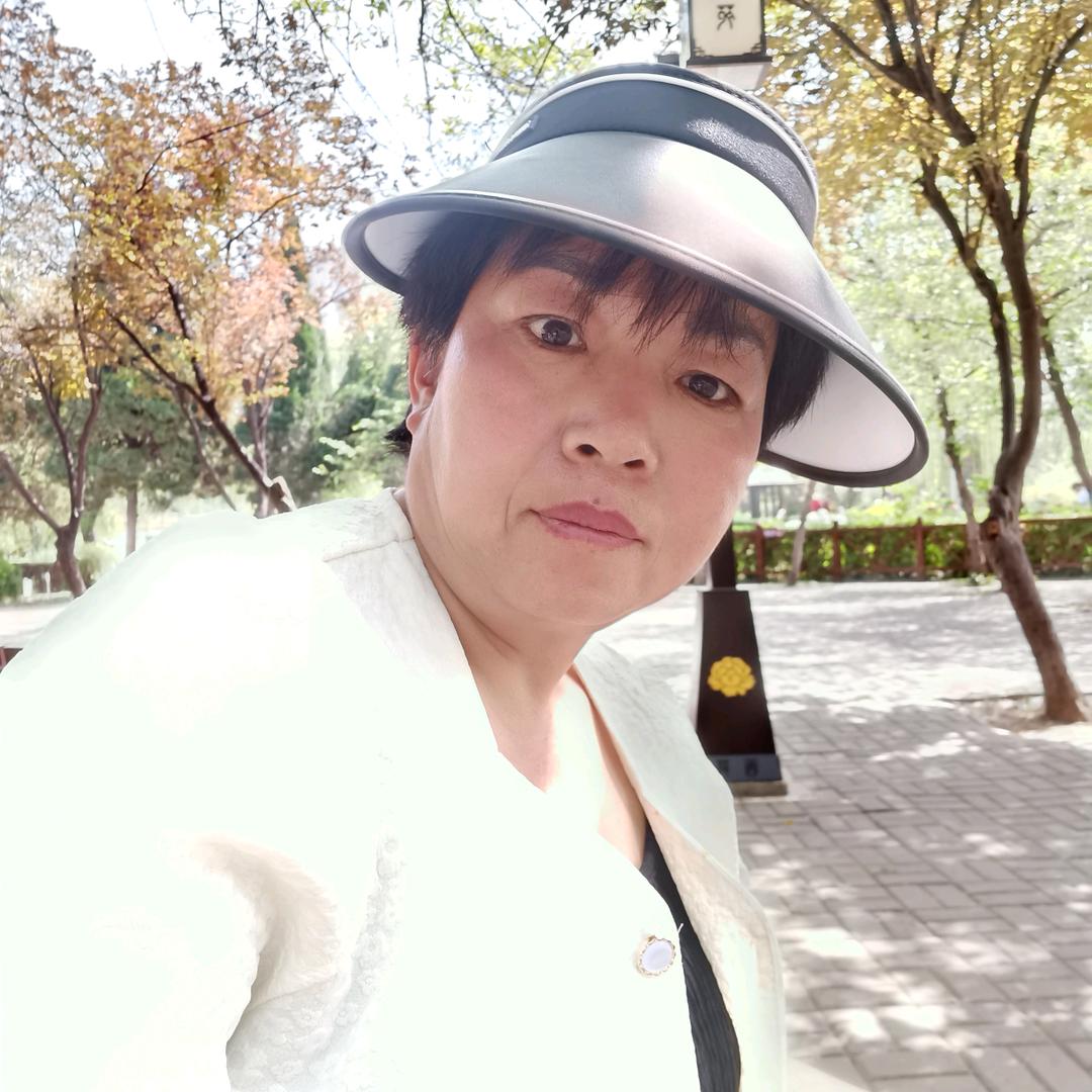 凤凰伊美