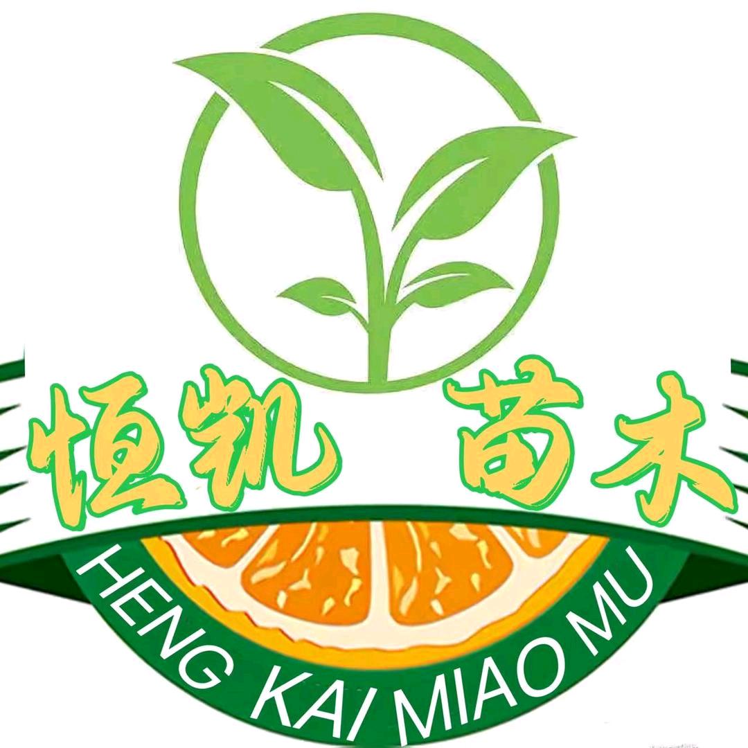 百年果苗恒坑