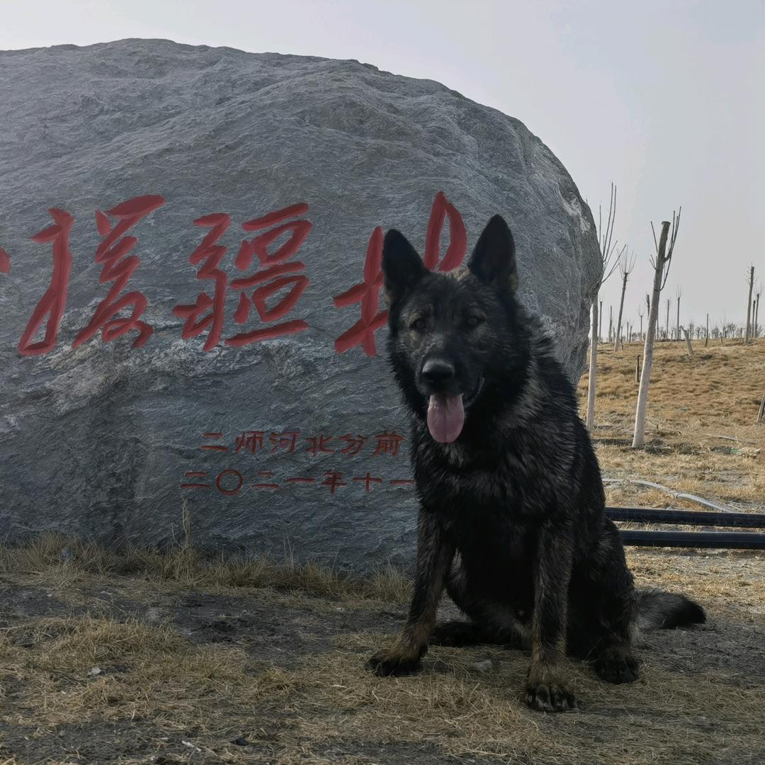俗世客✌