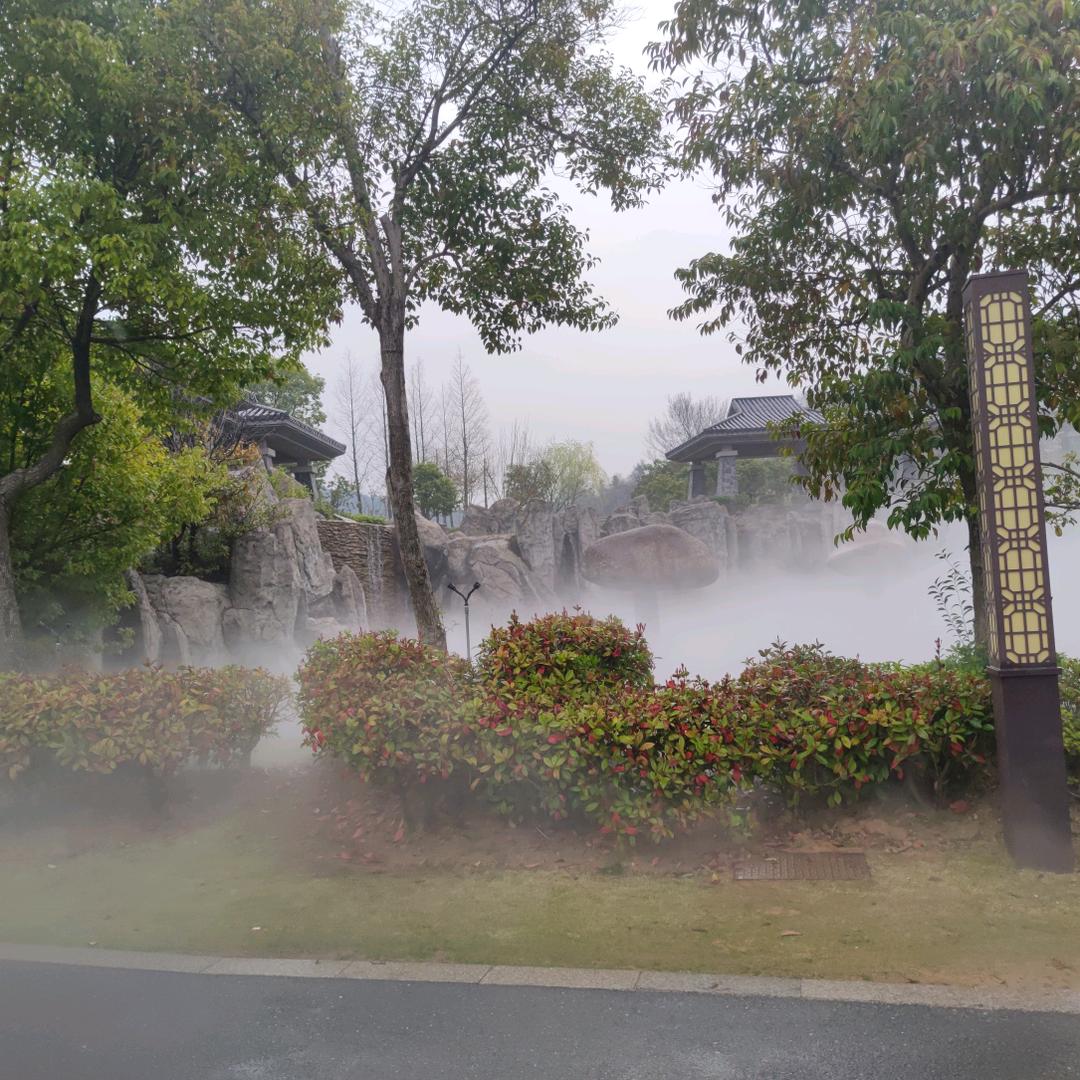 泡沫