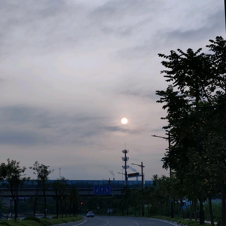 余先生_