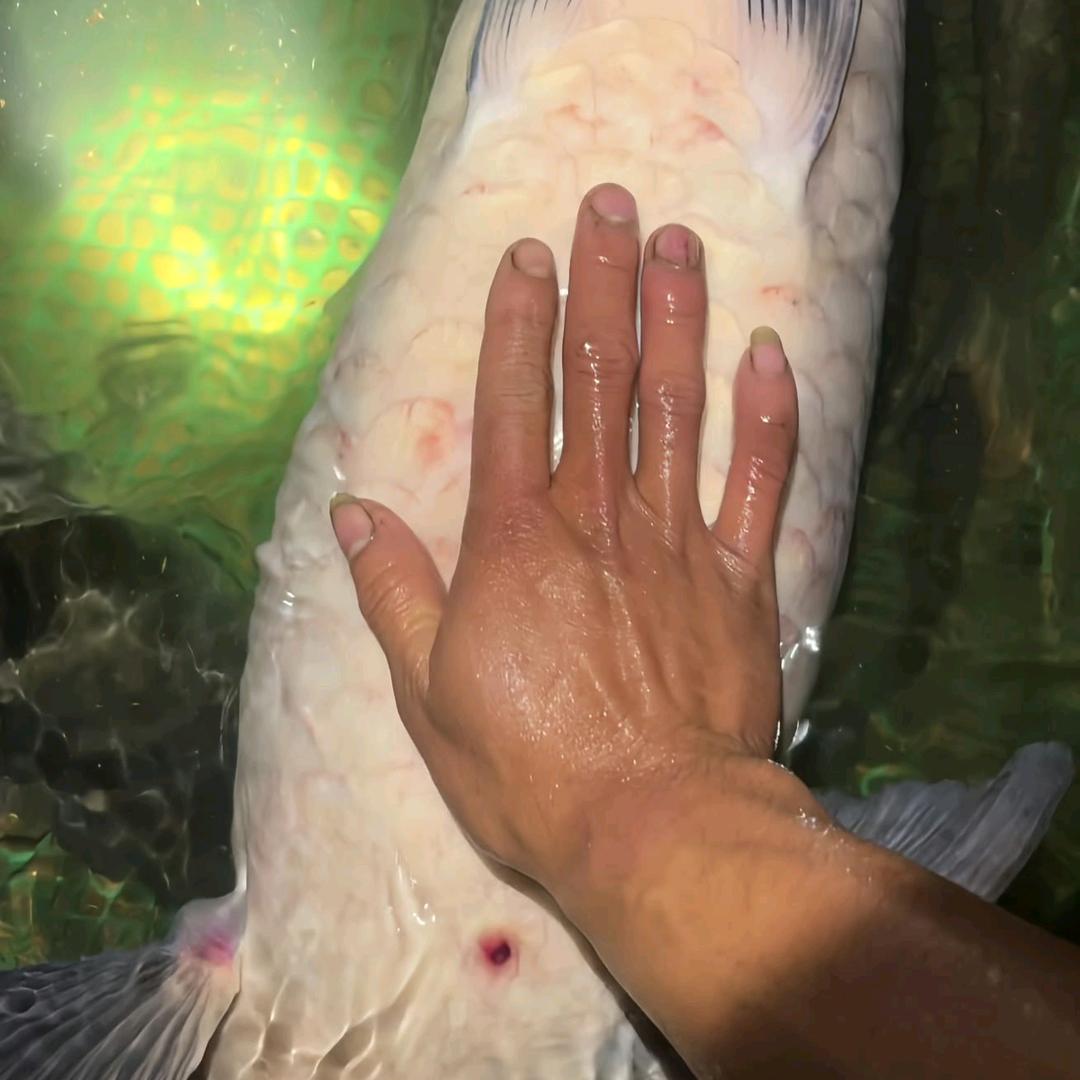 ღ°谢先生᭄ꦿ࿐