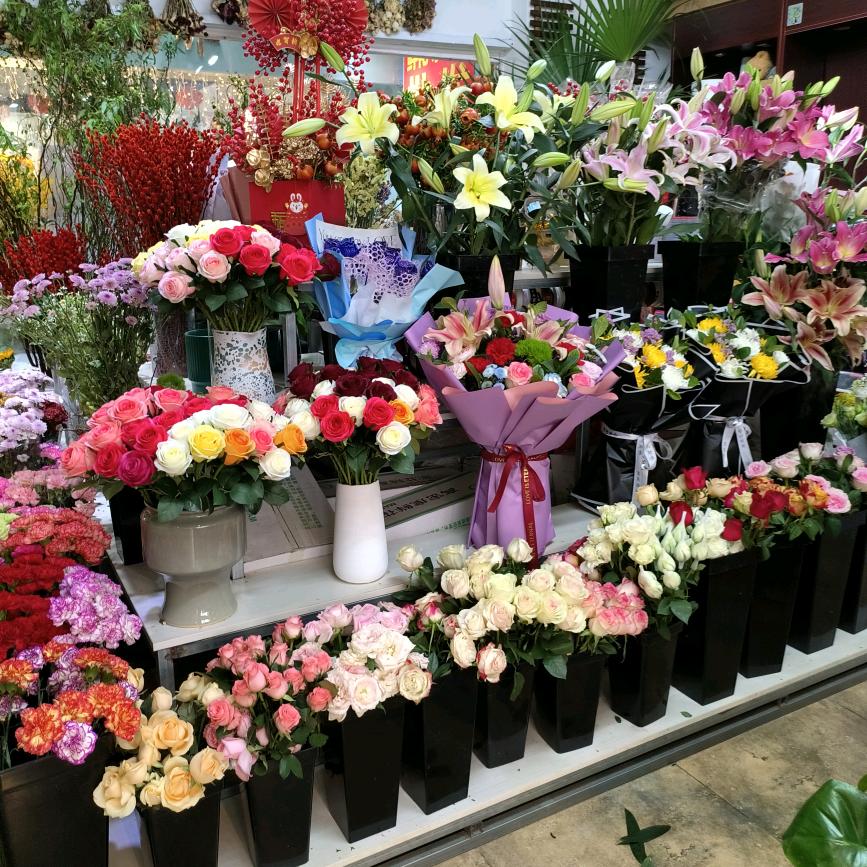 养乐多多🇨🇳