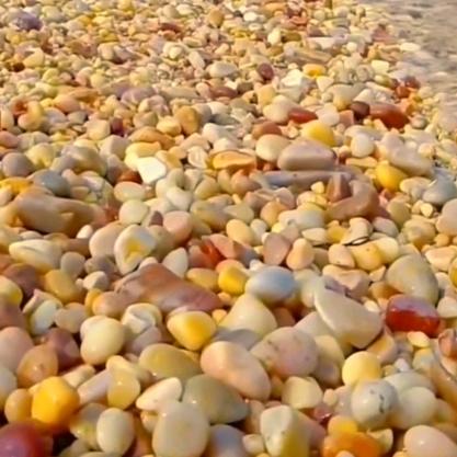 🌼一米阳光☀️