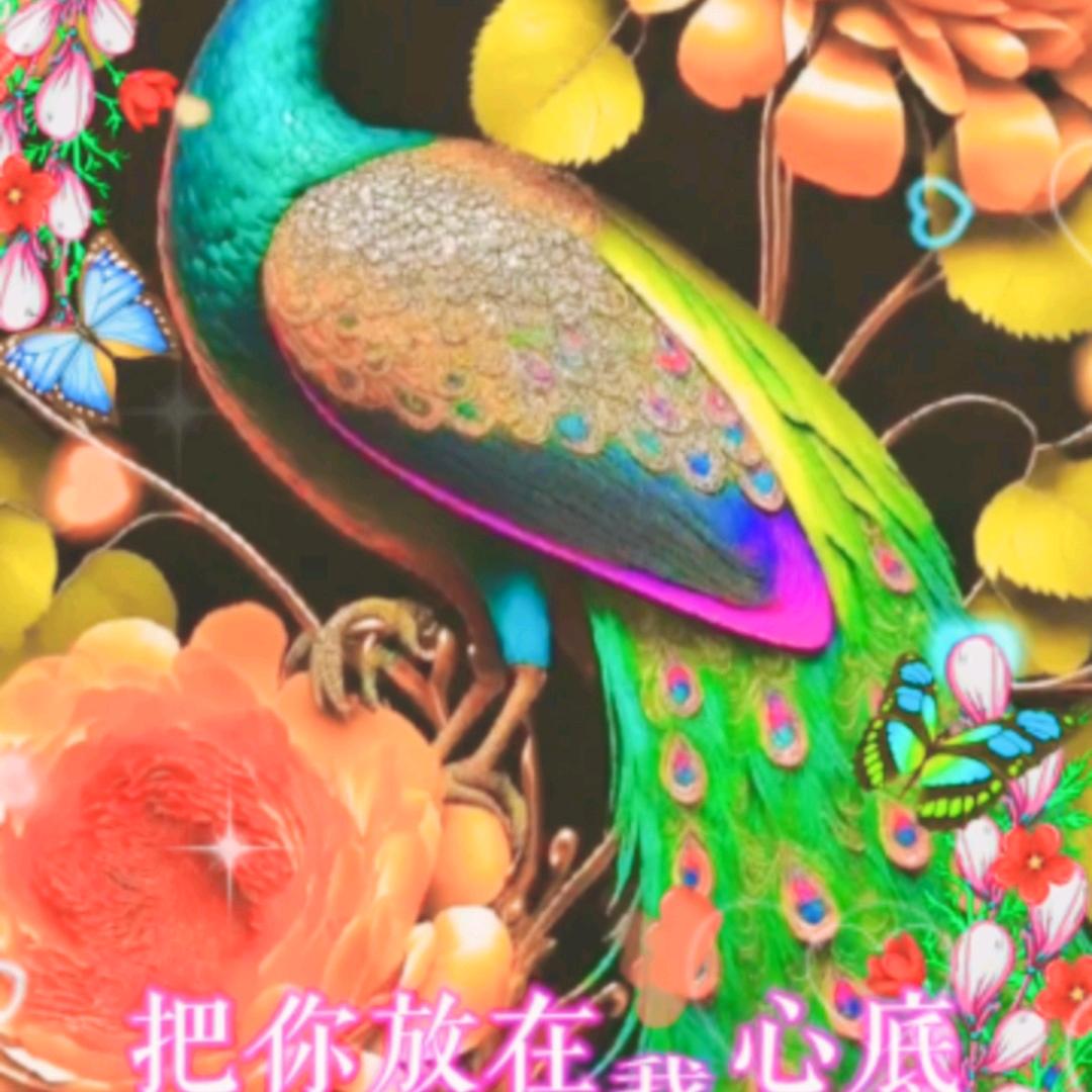 孙芬