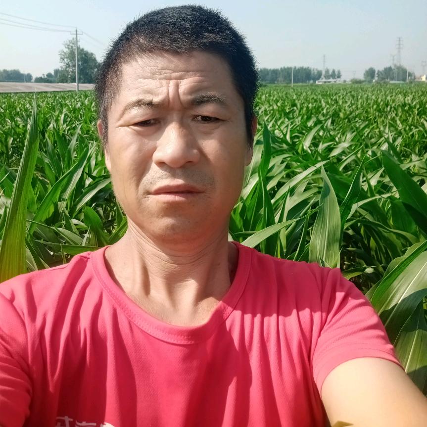 平安喜乐