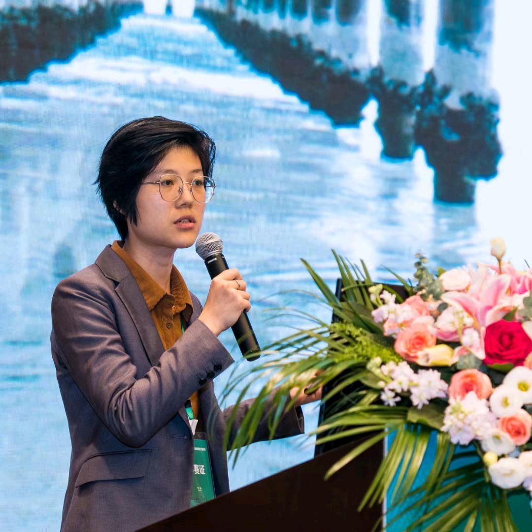 马叶的野马之行