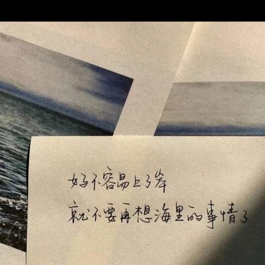不如放纵
