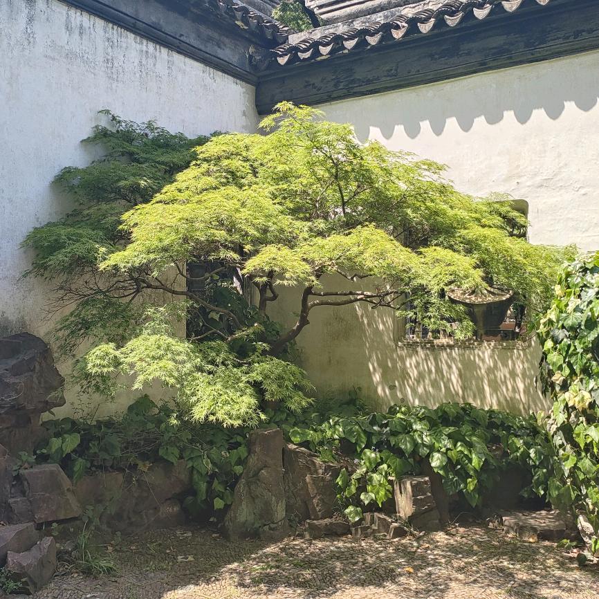 农村，别墅，覆盖，响水灌南