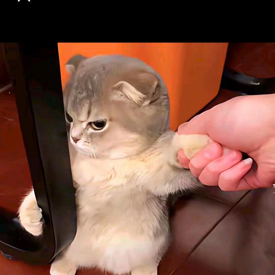 @白日梦