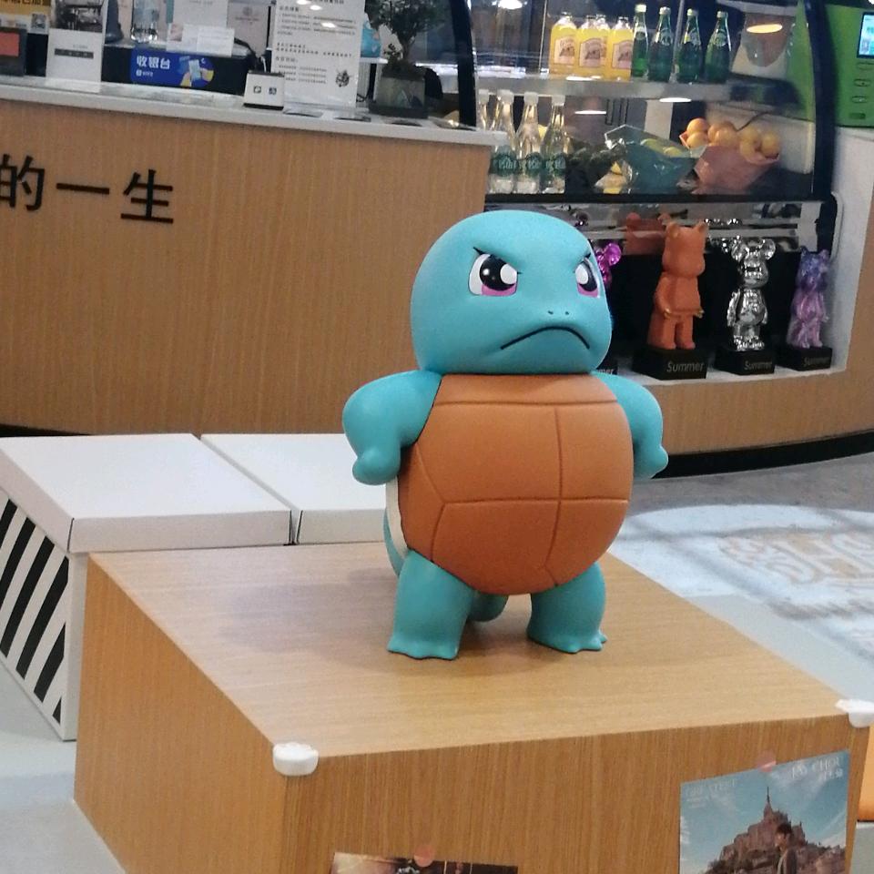 翔子