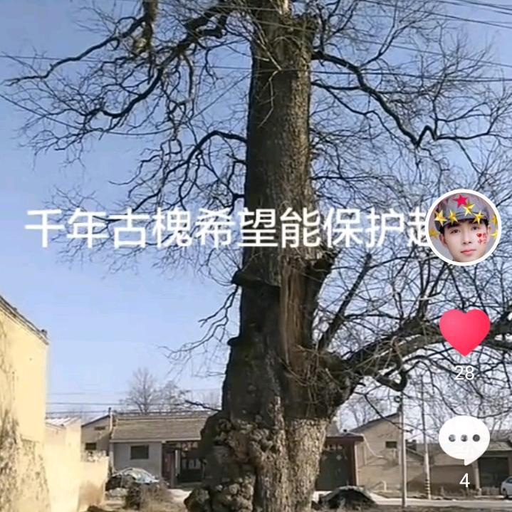 清松g