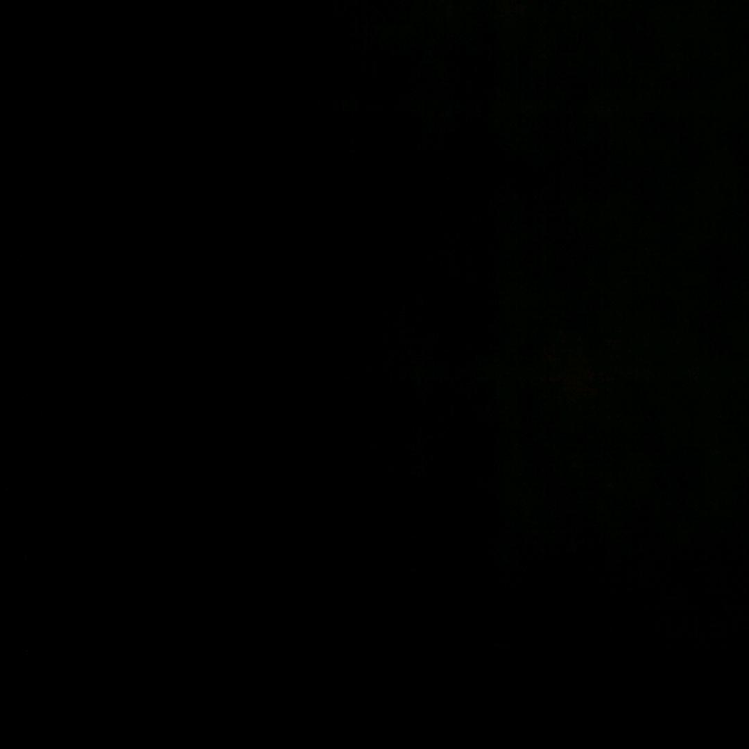 🐶
