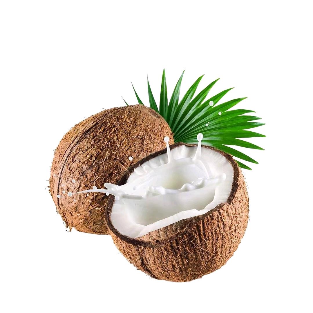 椰子水