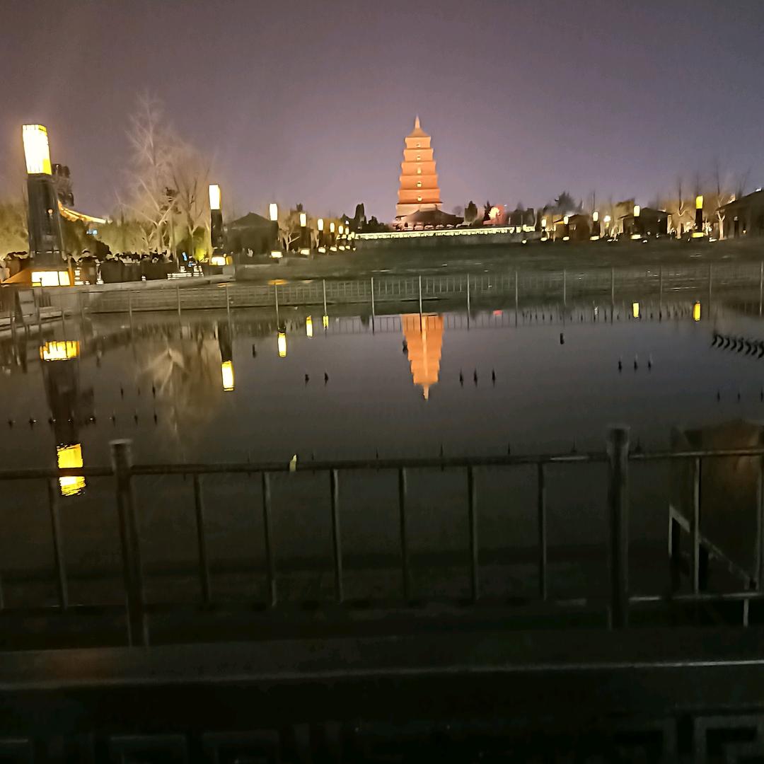 A（一只酸奶刘）