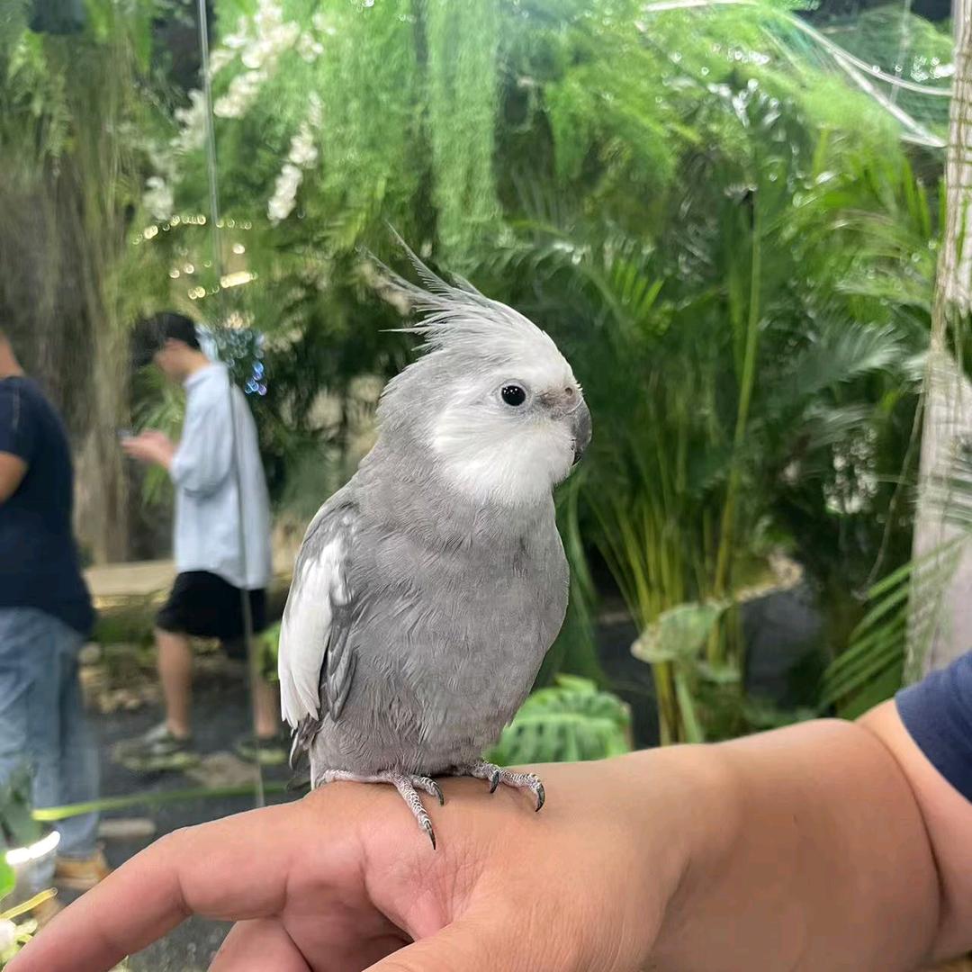 咬春卓莱飞宠物专卖店