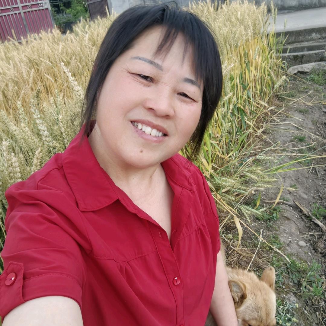 农村李姐