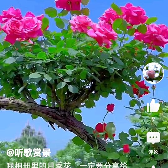 开心每一天