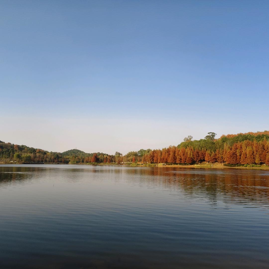 哈哈哈噗噗噗噗