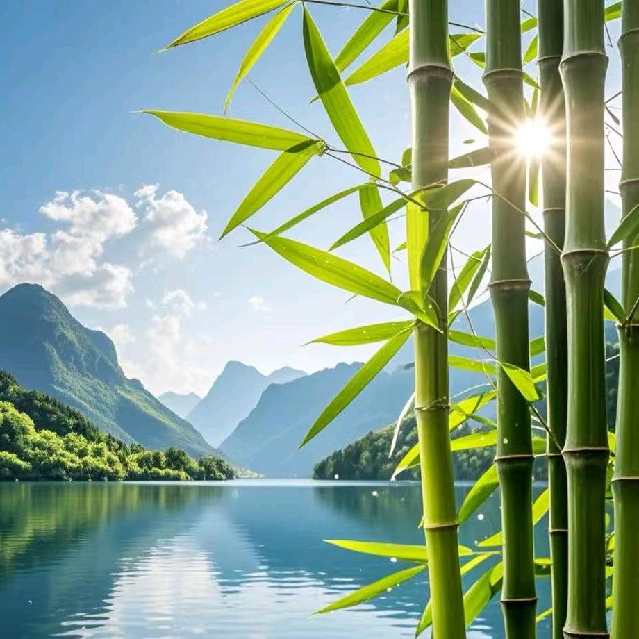 行走在路上的蜗牛