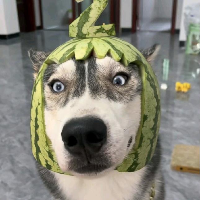 静海