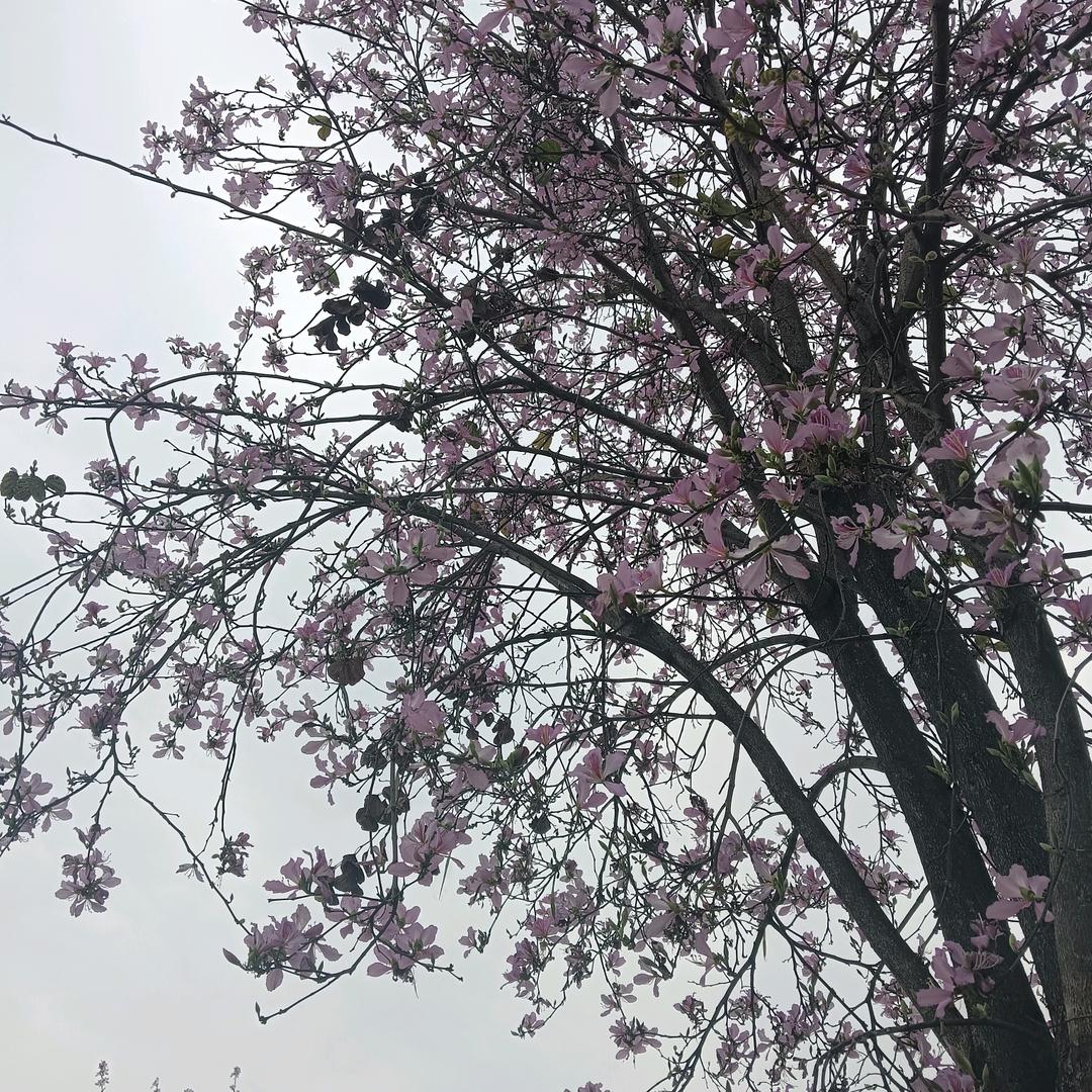 热爱生活