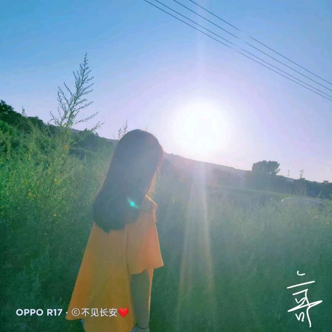 莉莉的家🏠（装修日记）