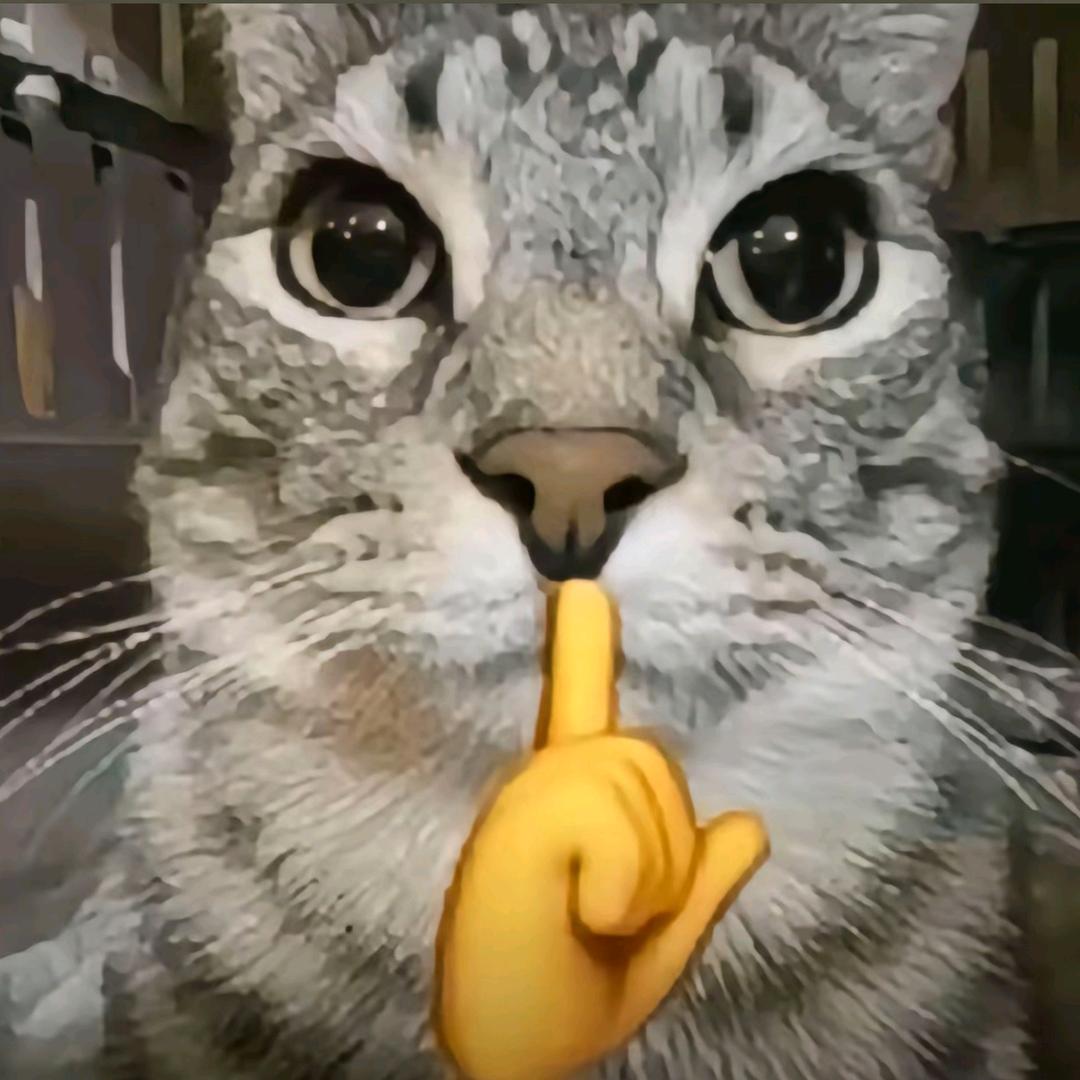 笼上叩