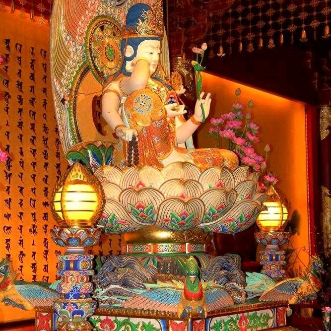 展翅翱翔