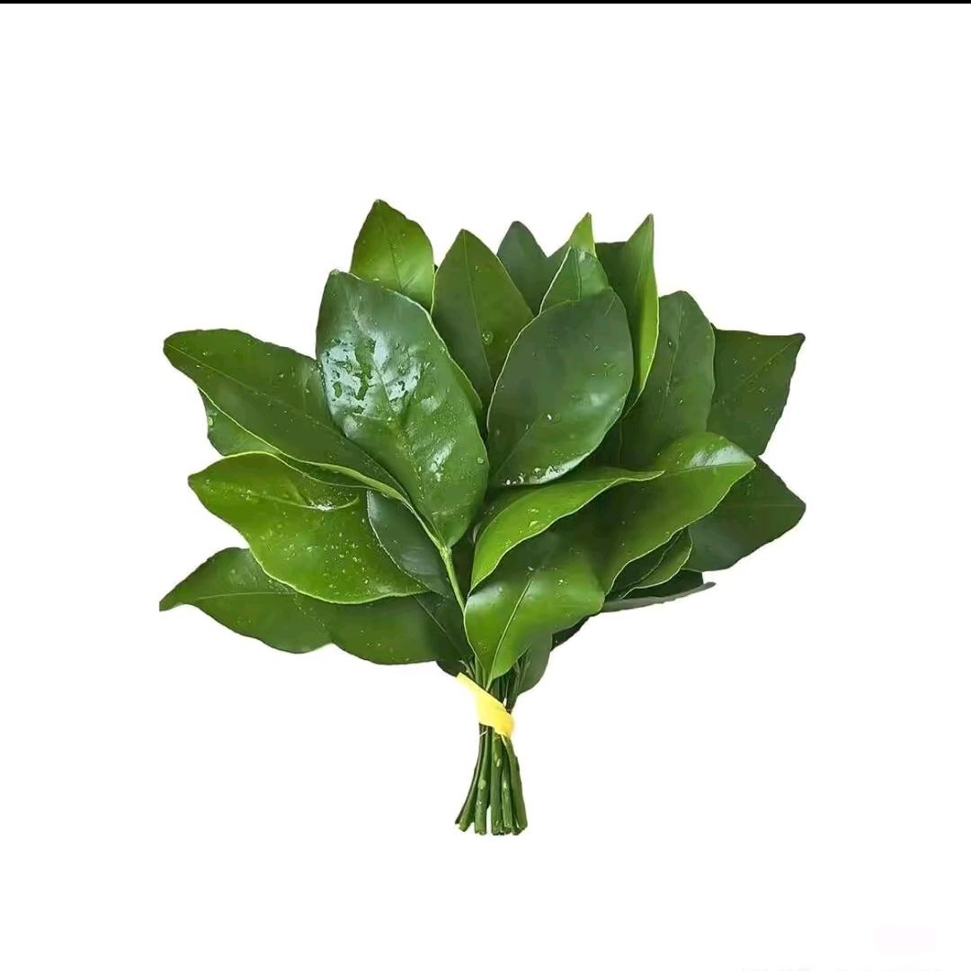 软