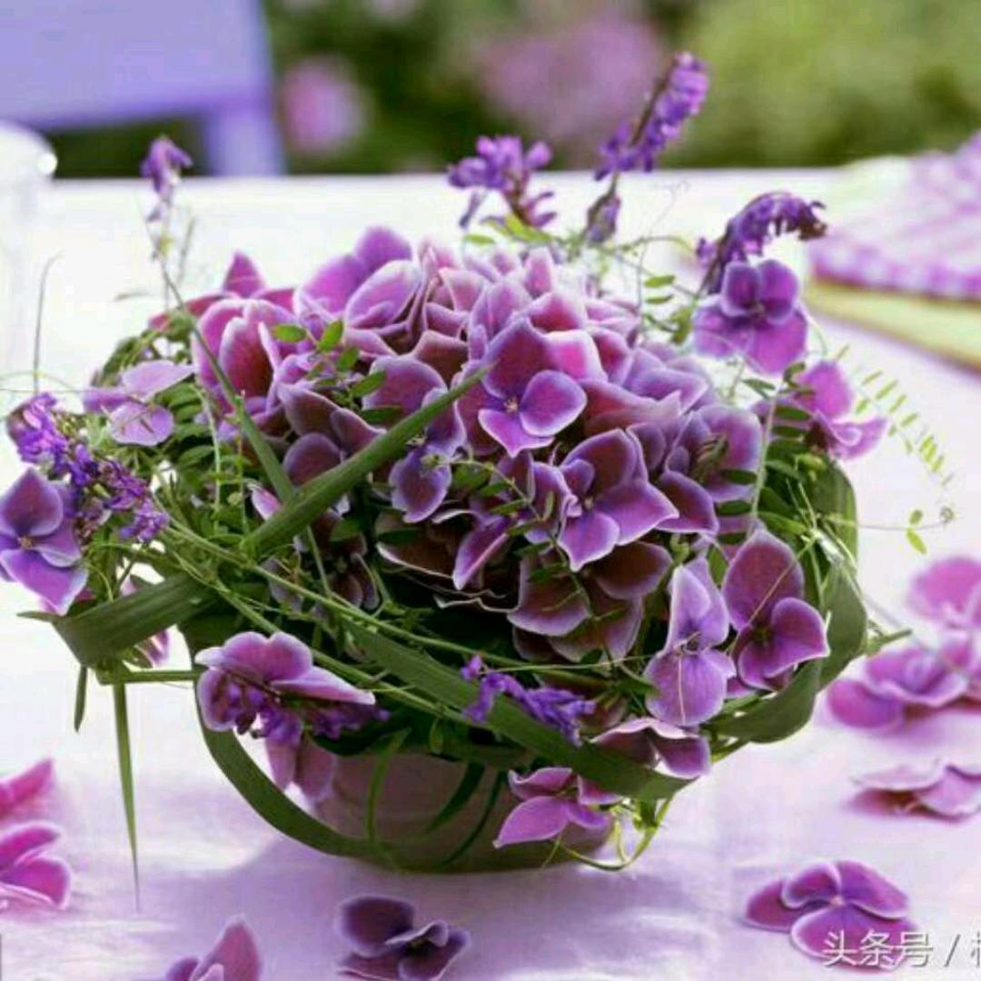 兰💞芯