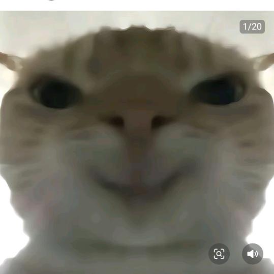 这一块