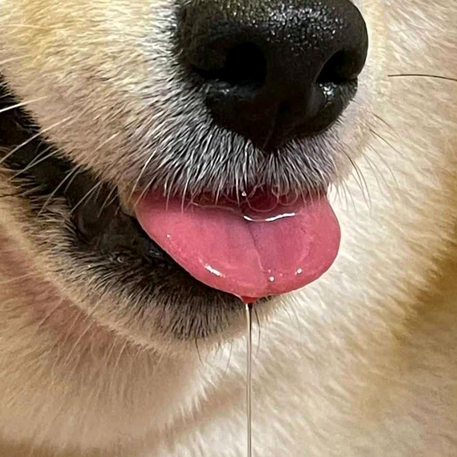 喝杯咖啡再说吧