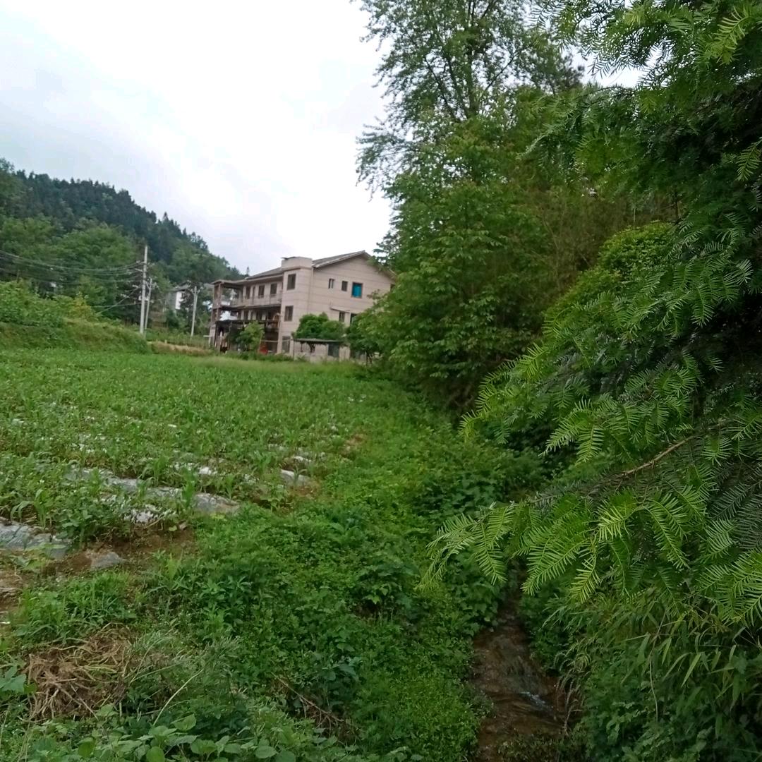 20年的风雨过来了开心每一天