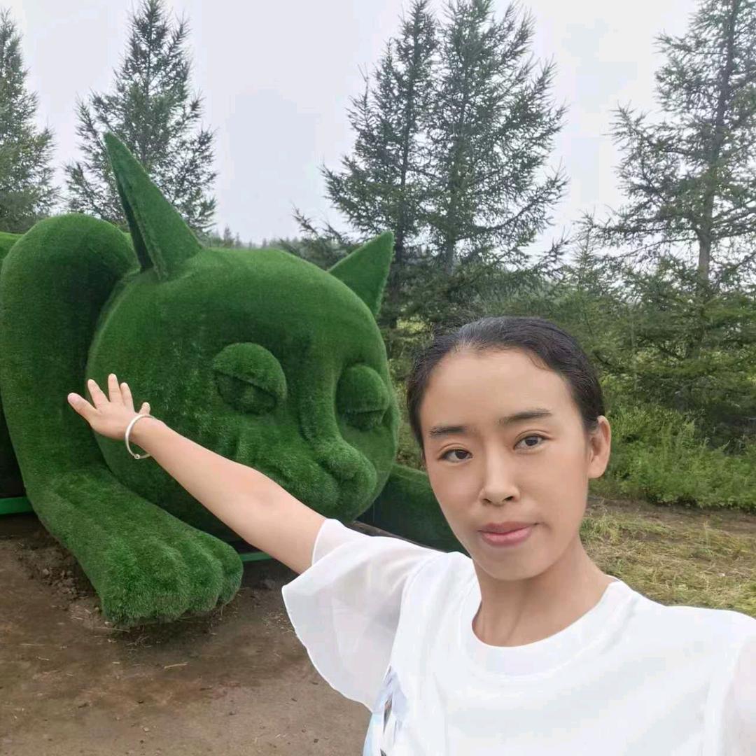 迪宝贝