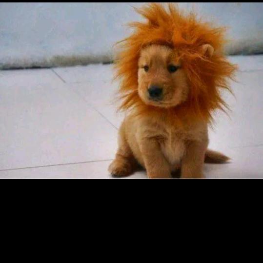 如果没有如果✔