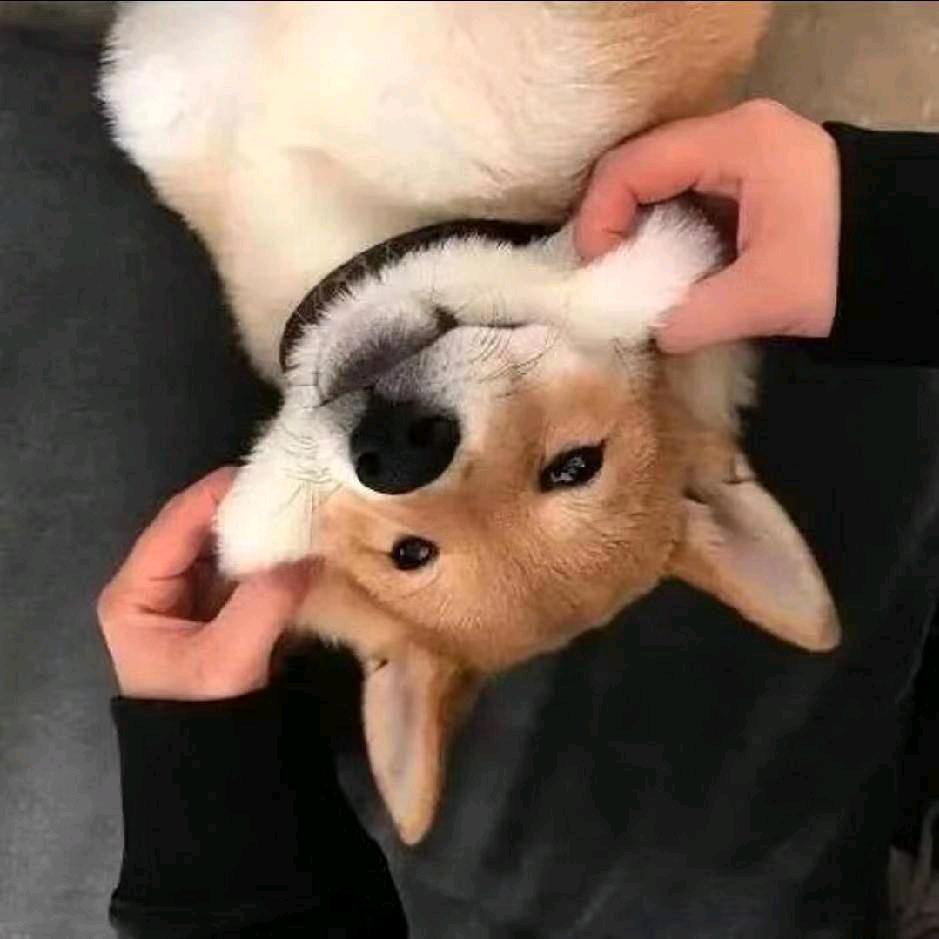 善意。