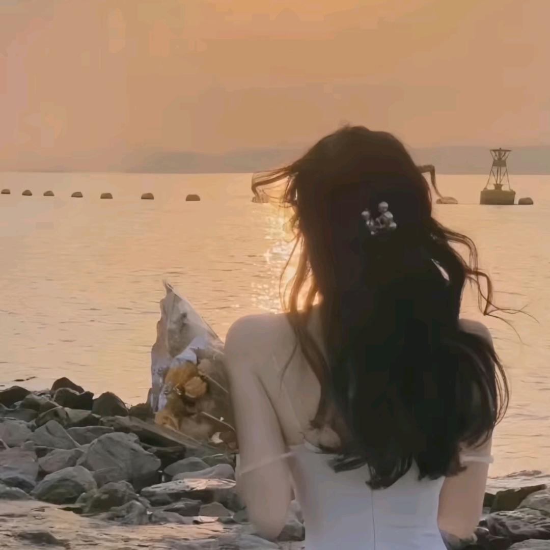 婷辞🌵