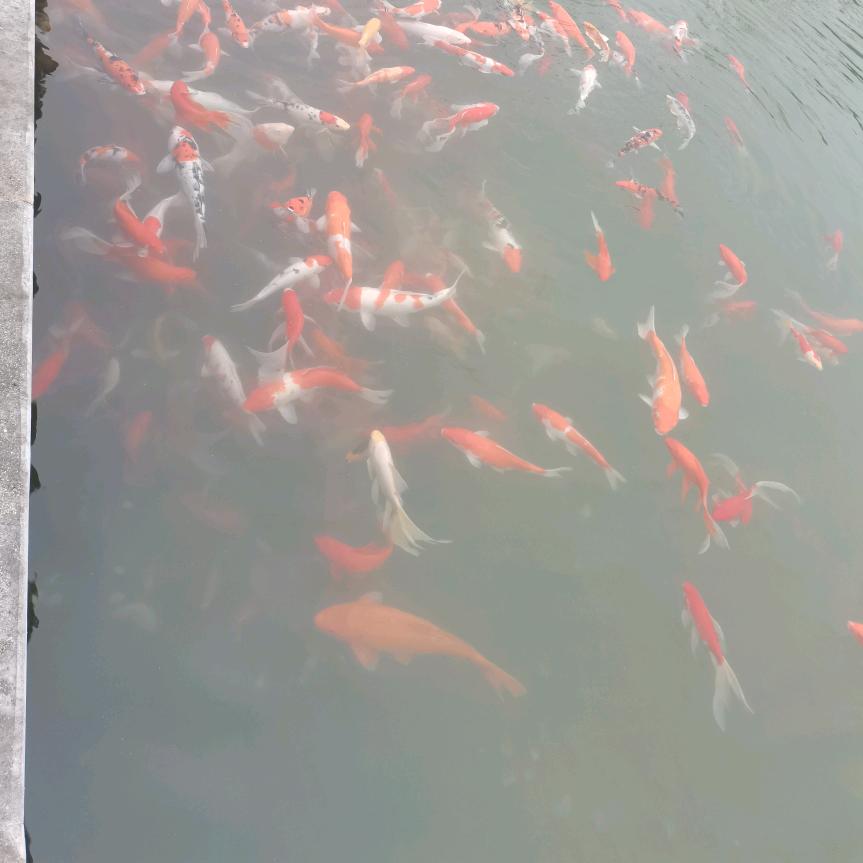 什么风把你吹来了