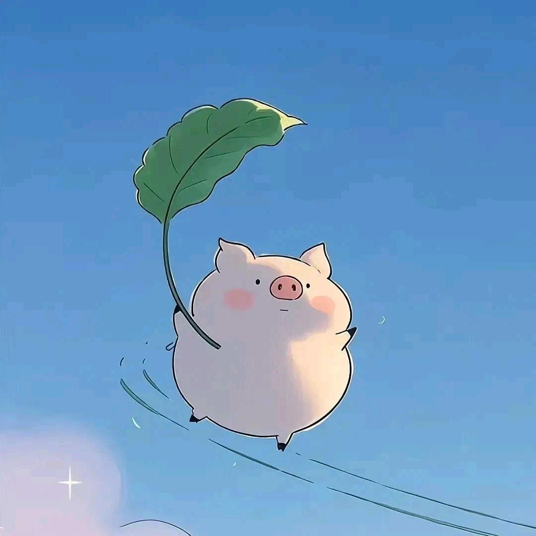 过期飞行指南