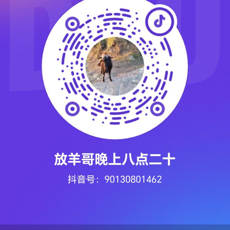 放羊哥