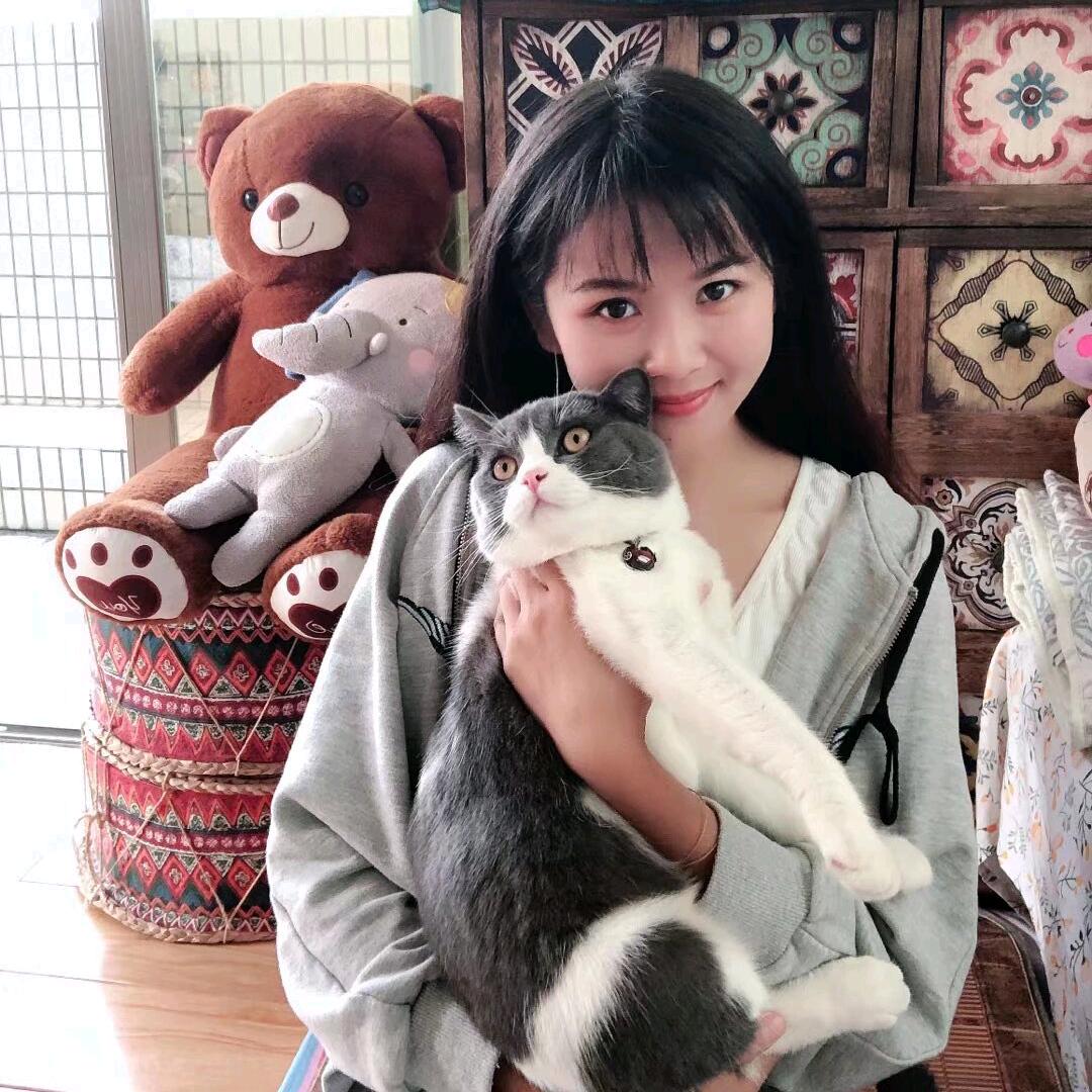 家有小猫很可爱