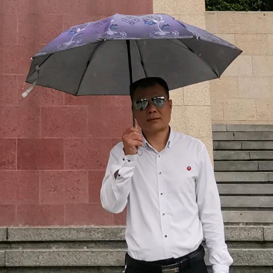 🌴偶尔装傻🌴