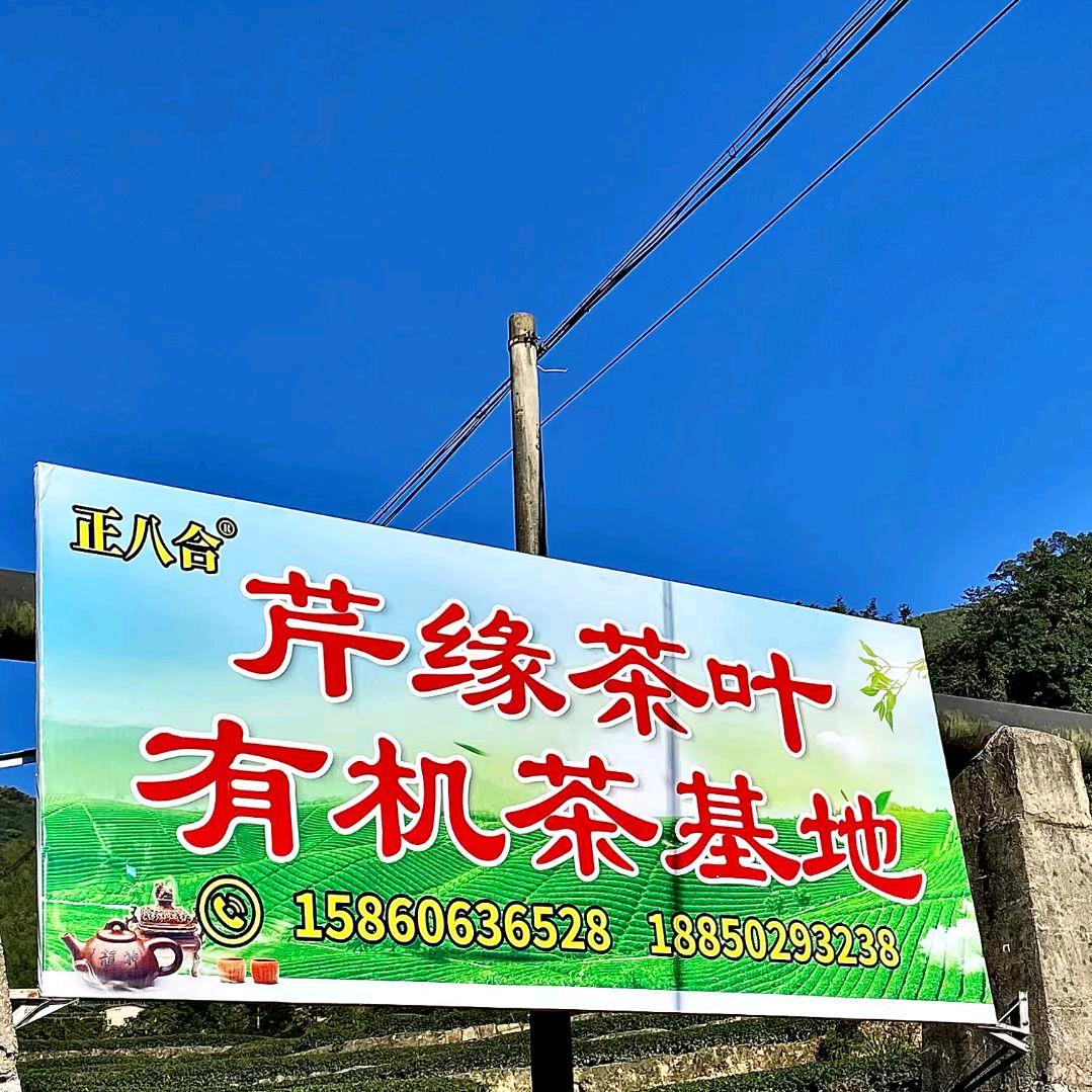 正八合茶业（白芽奇兰茶厂家）