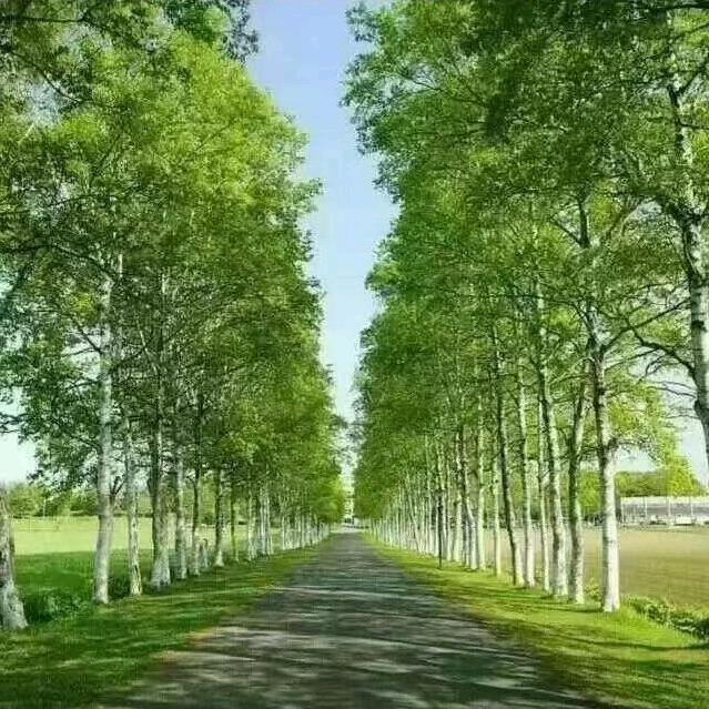 勤QlN~青台街放心肉