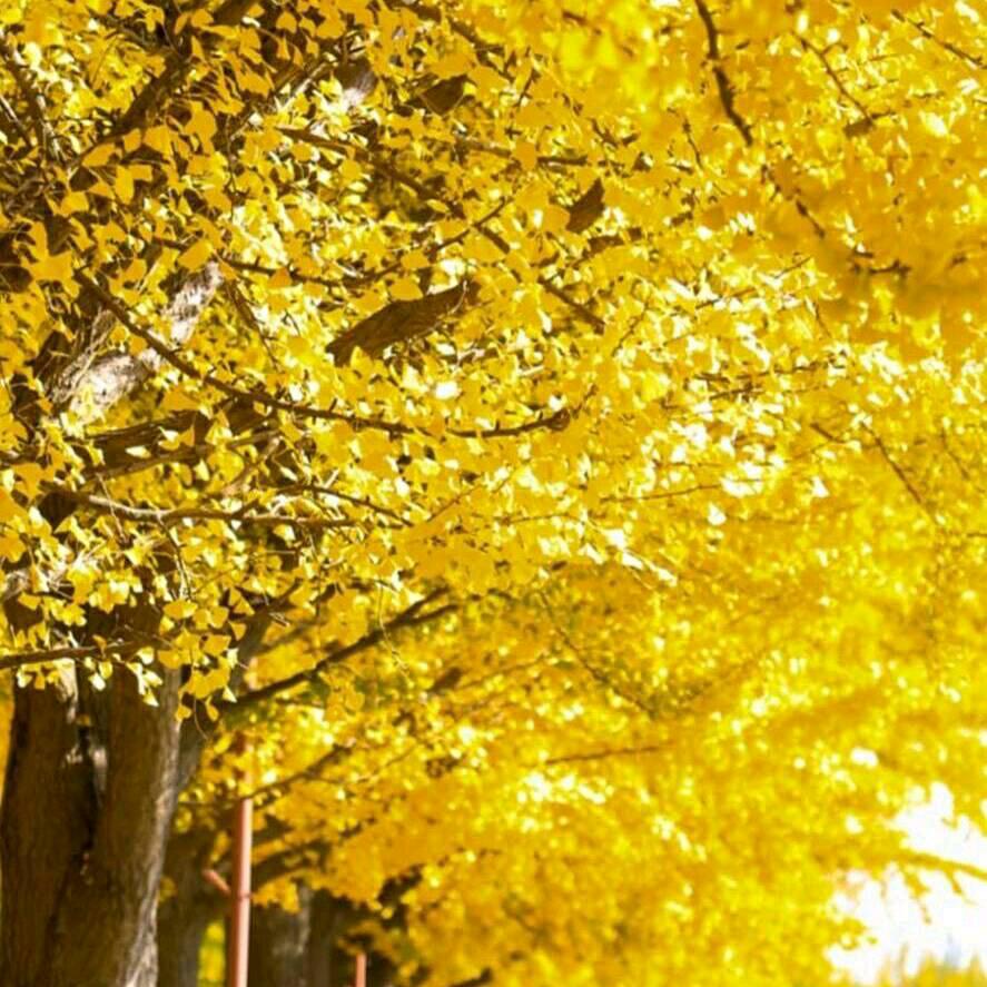 不积小流，无以成江海，