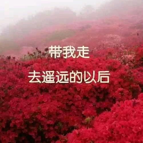 厨房日用设计商店