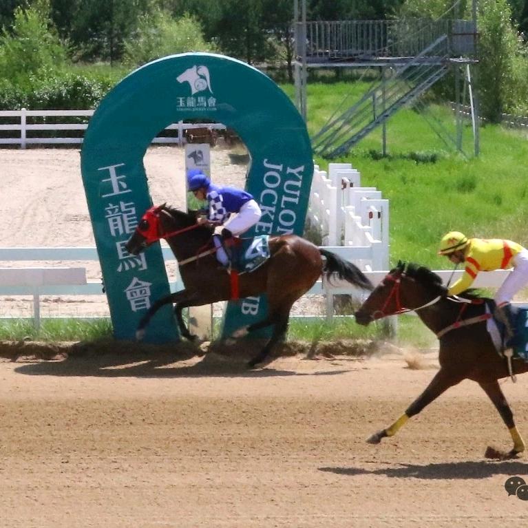 🐎.旗开得胜.🐎