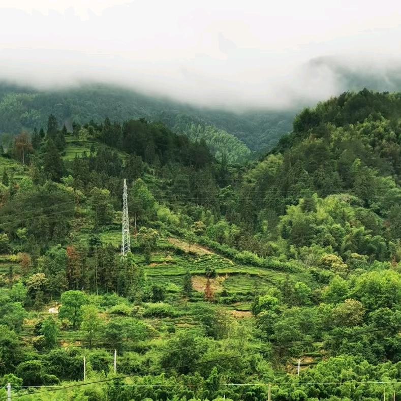 明天会好