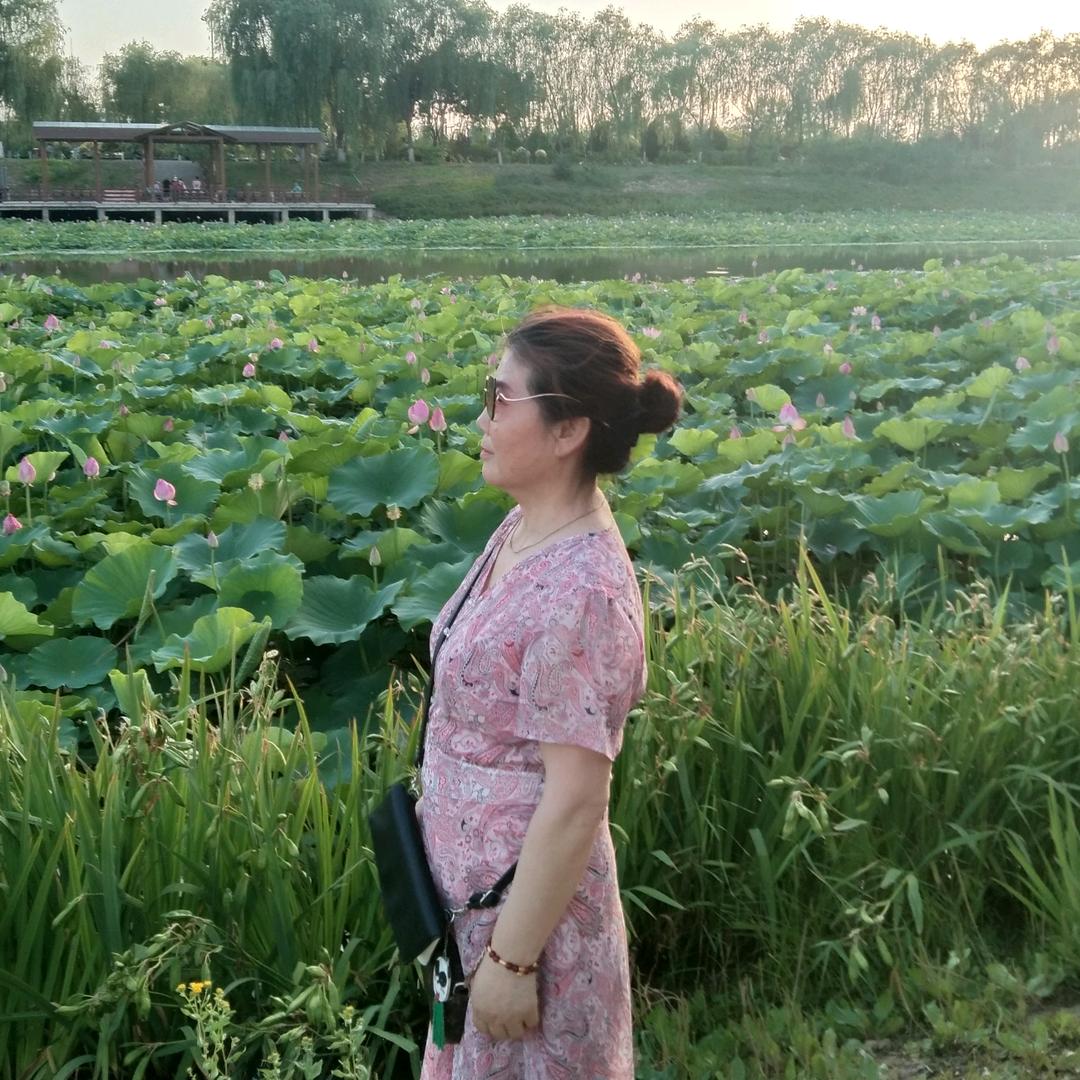 王玲燕